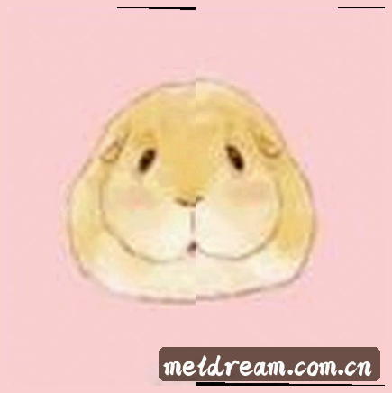 赵敏